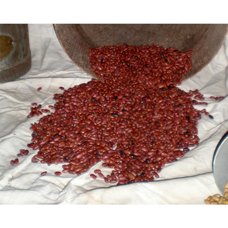 Fagioli rossi di lucca